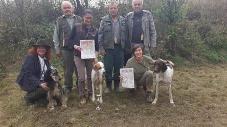 English Pointer Fydal Crystal del Winepoint